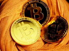 investire in bitcoin conviene?